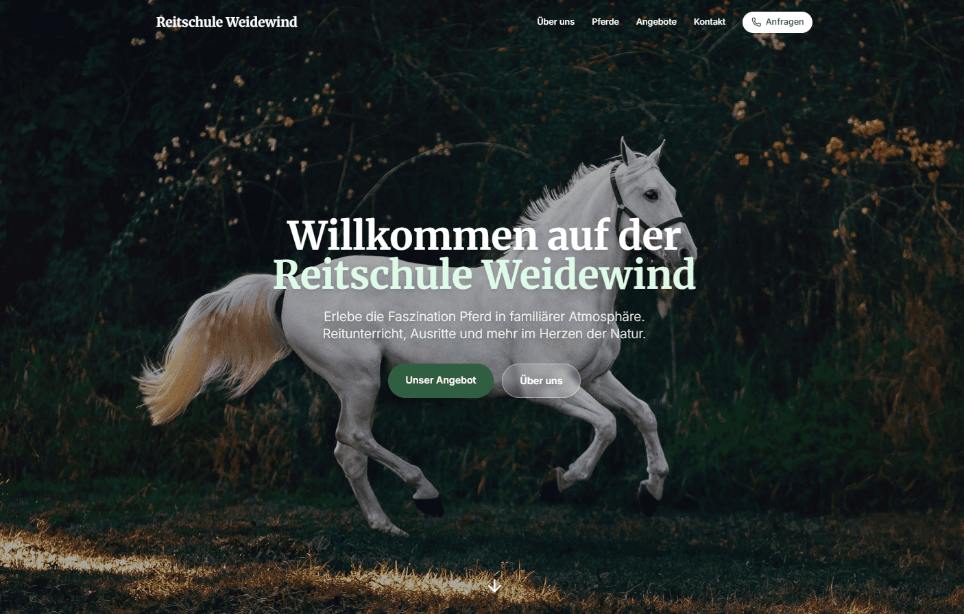 Beispielentwurf einer Seite für eine Reitschule